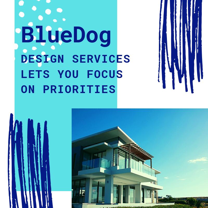 BlueDog Group Blog (4).png