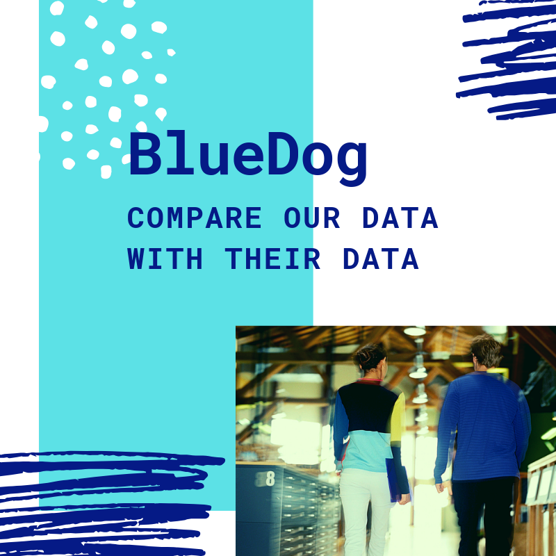 BlueDog Group Blog.png
