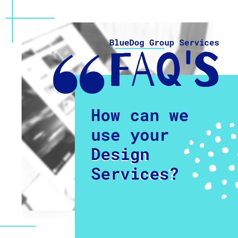 BlueDog Group Blog (6).png