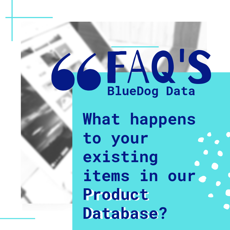 BlueDog Group Blog (3).png