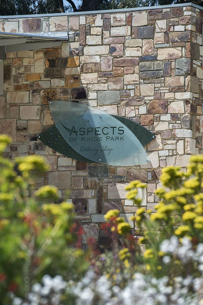 ASPECTS_27.jpg