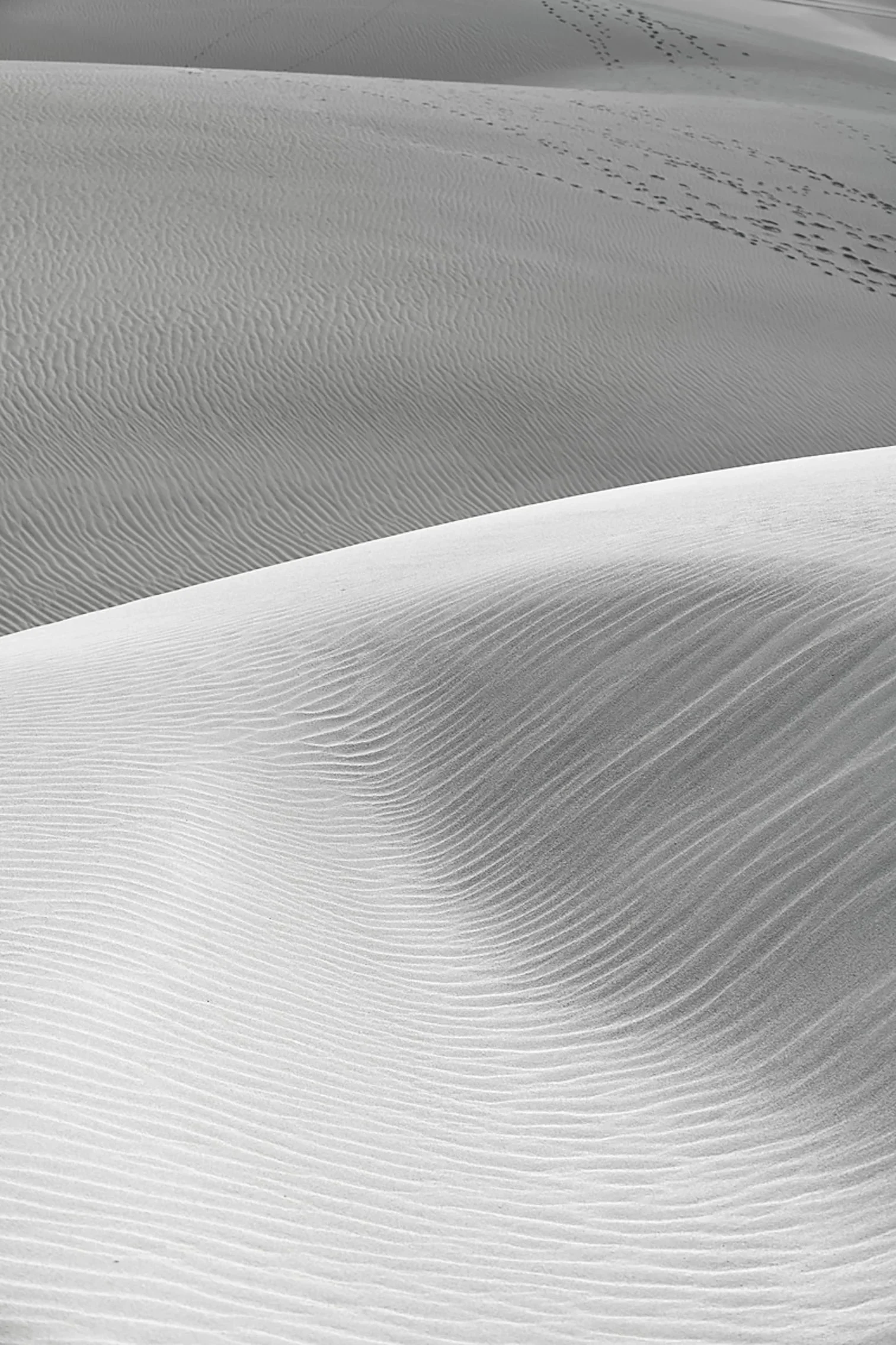 Ascending, Lancelin