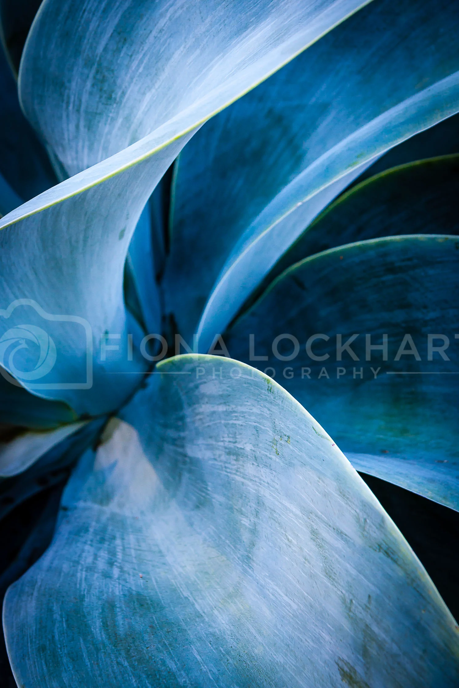 Nature (10 of 12).jpg