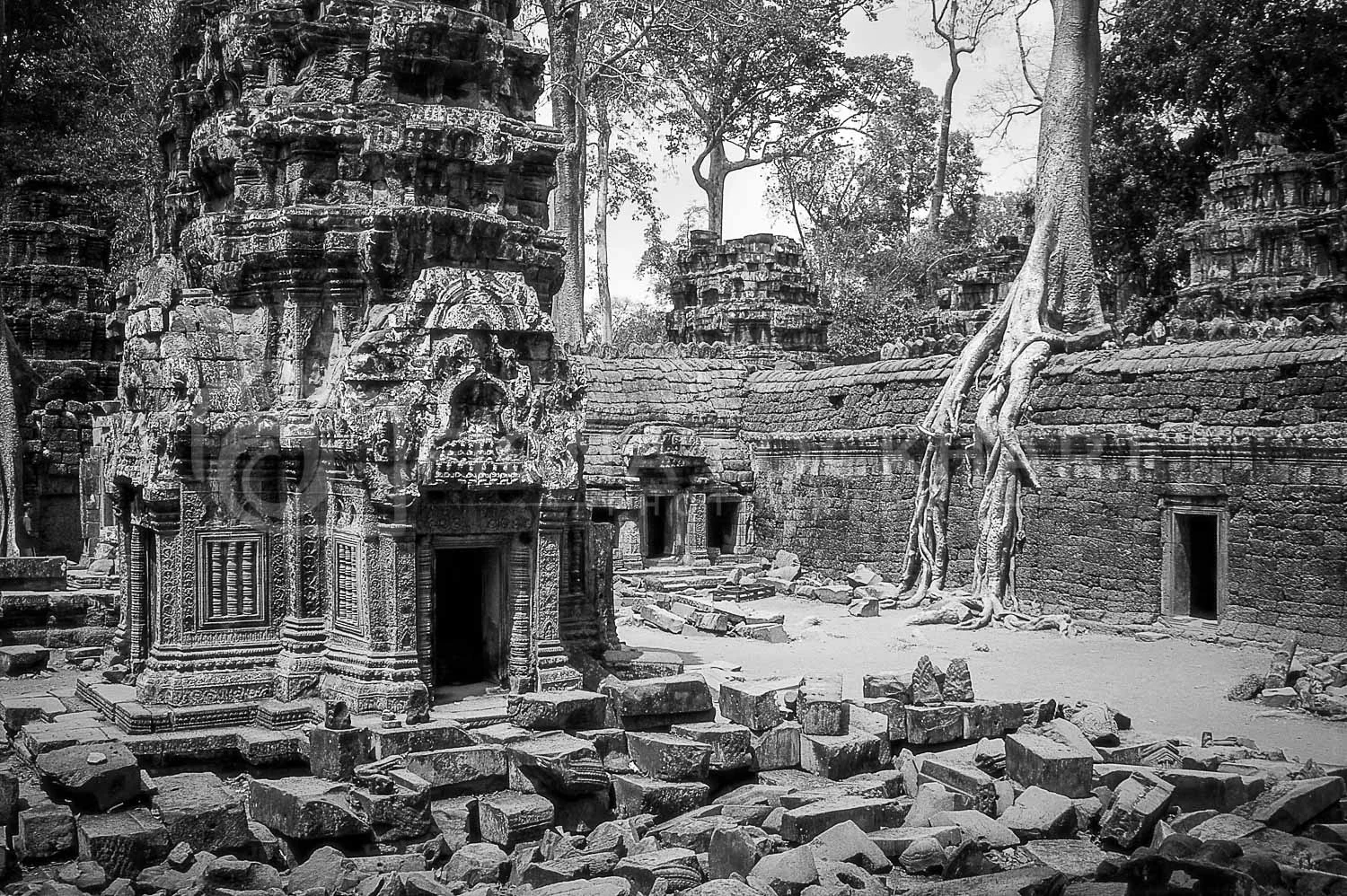 B&W_Additional_ (2 of 5).jpg
