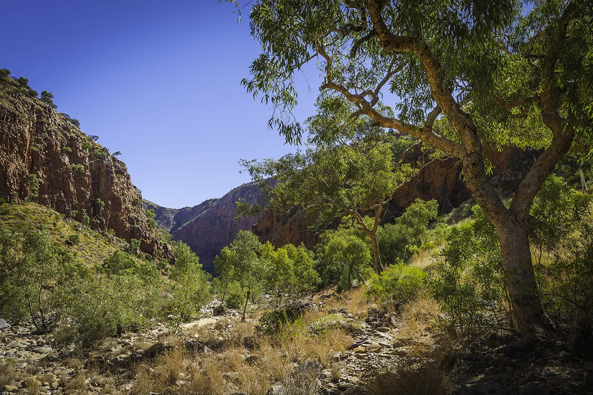 Landscape_Blog.jpg