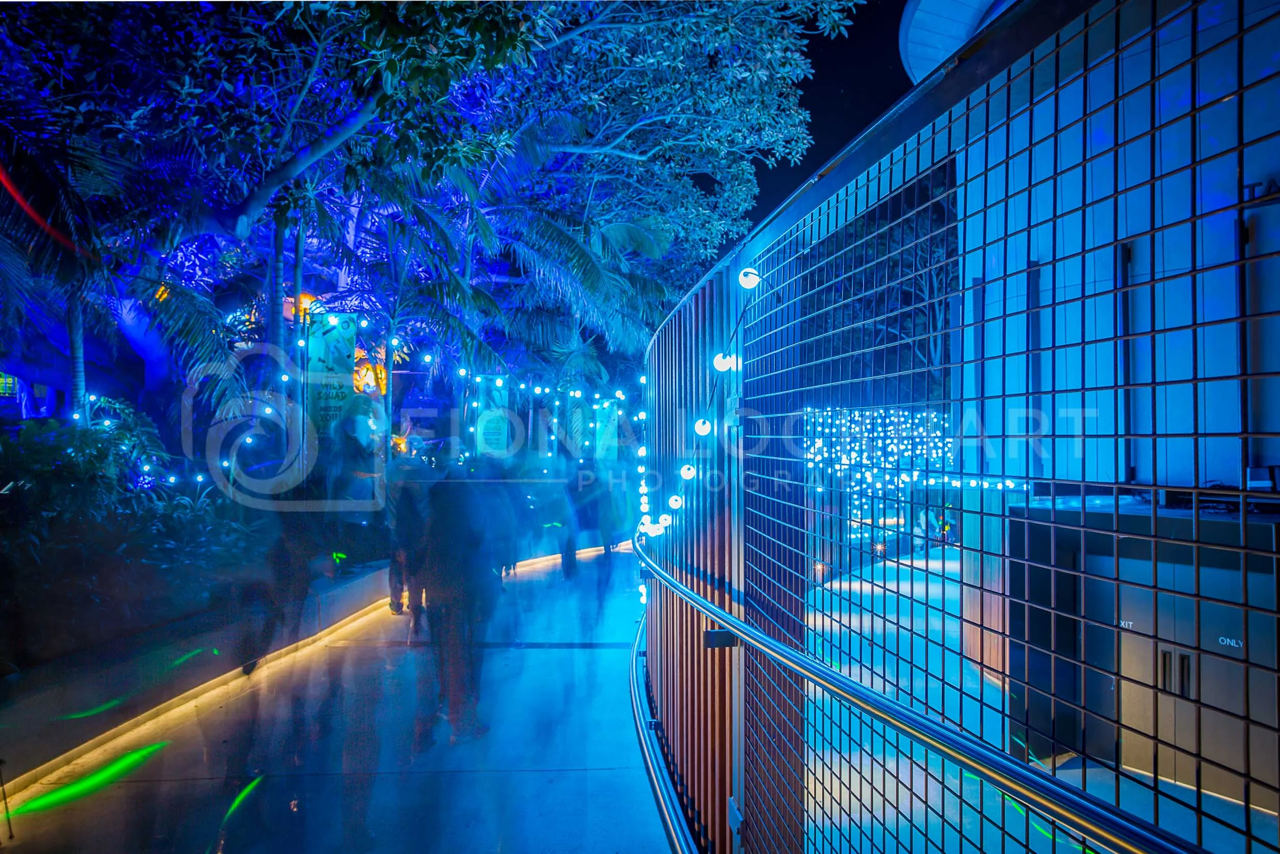 Vivid (4 of 35).jpg