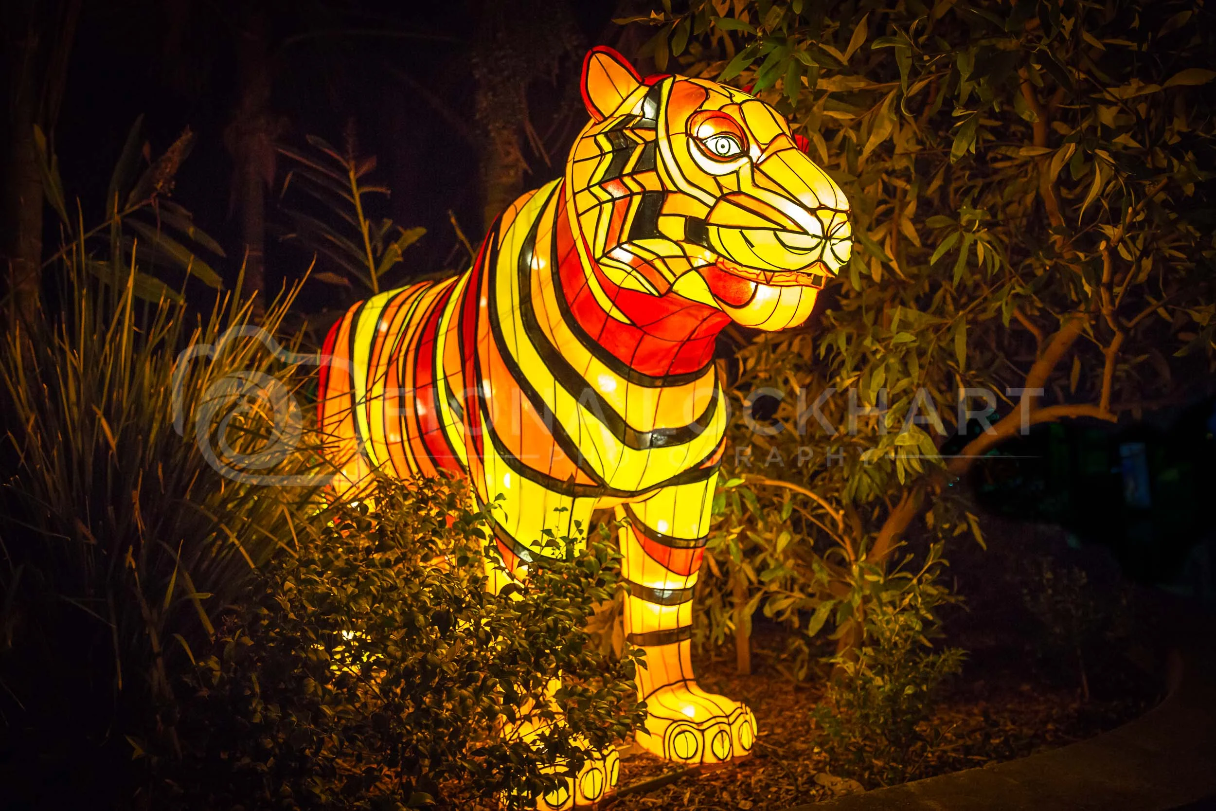 Vivid (20 of 35).jpg