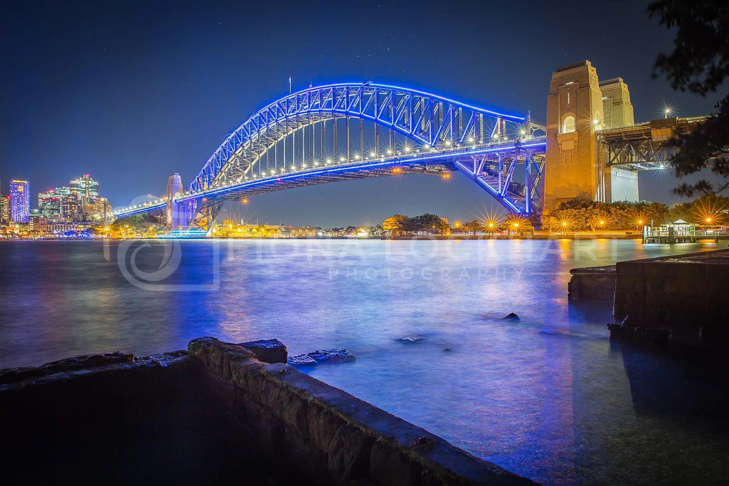 Vivid (26 of 35).jpg