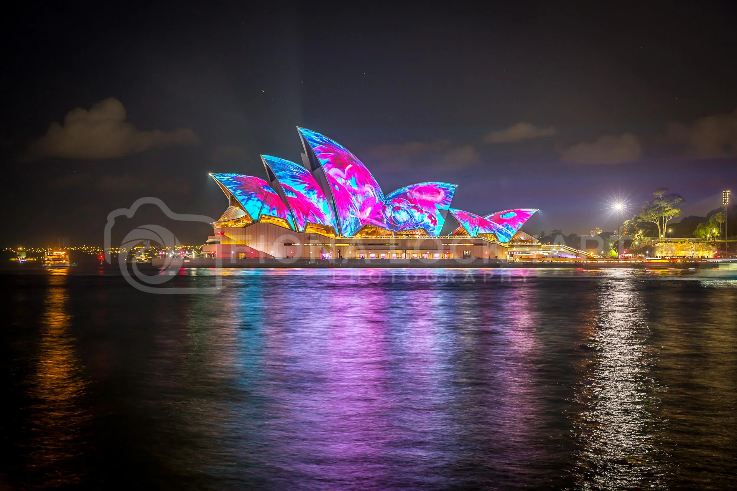 Vivid (33 of 35).jpg