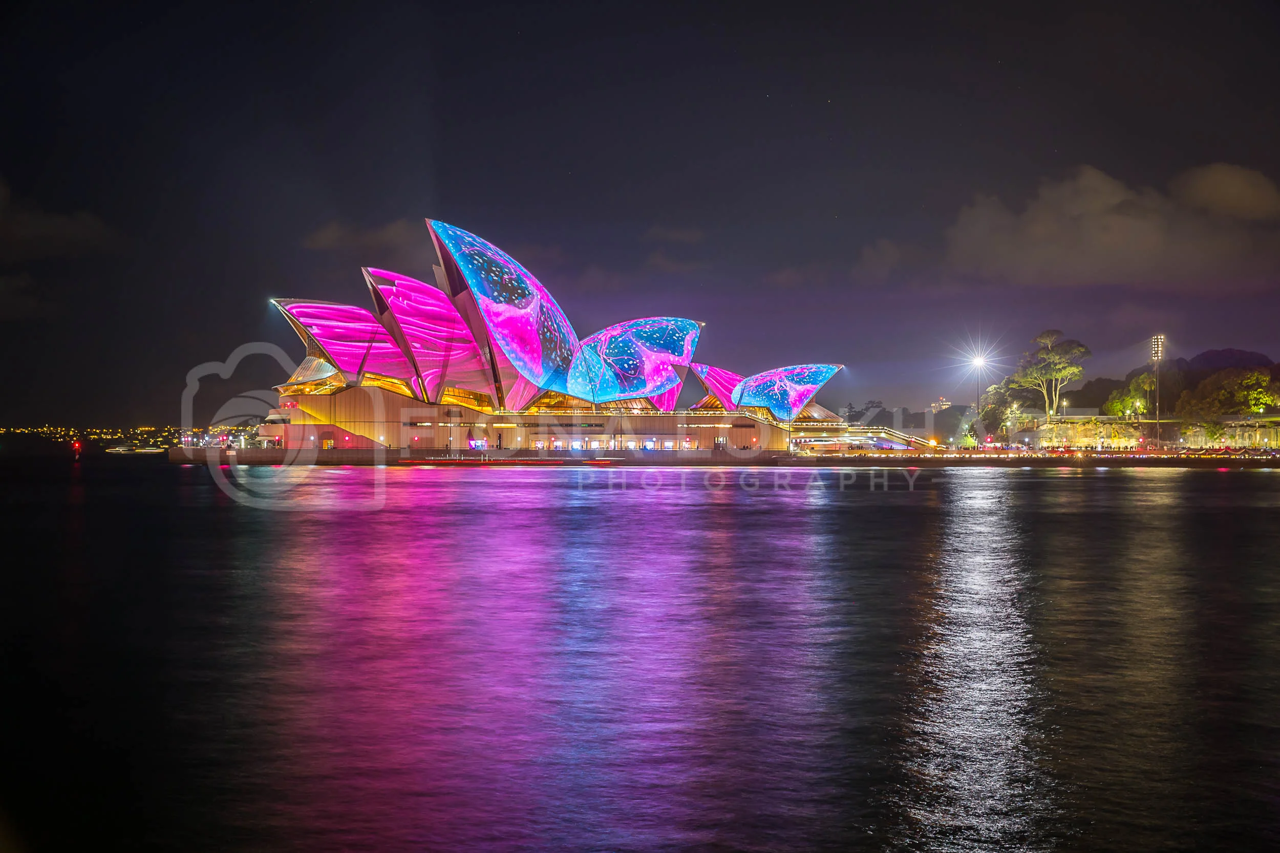 Vivid (35 of 35).jpg