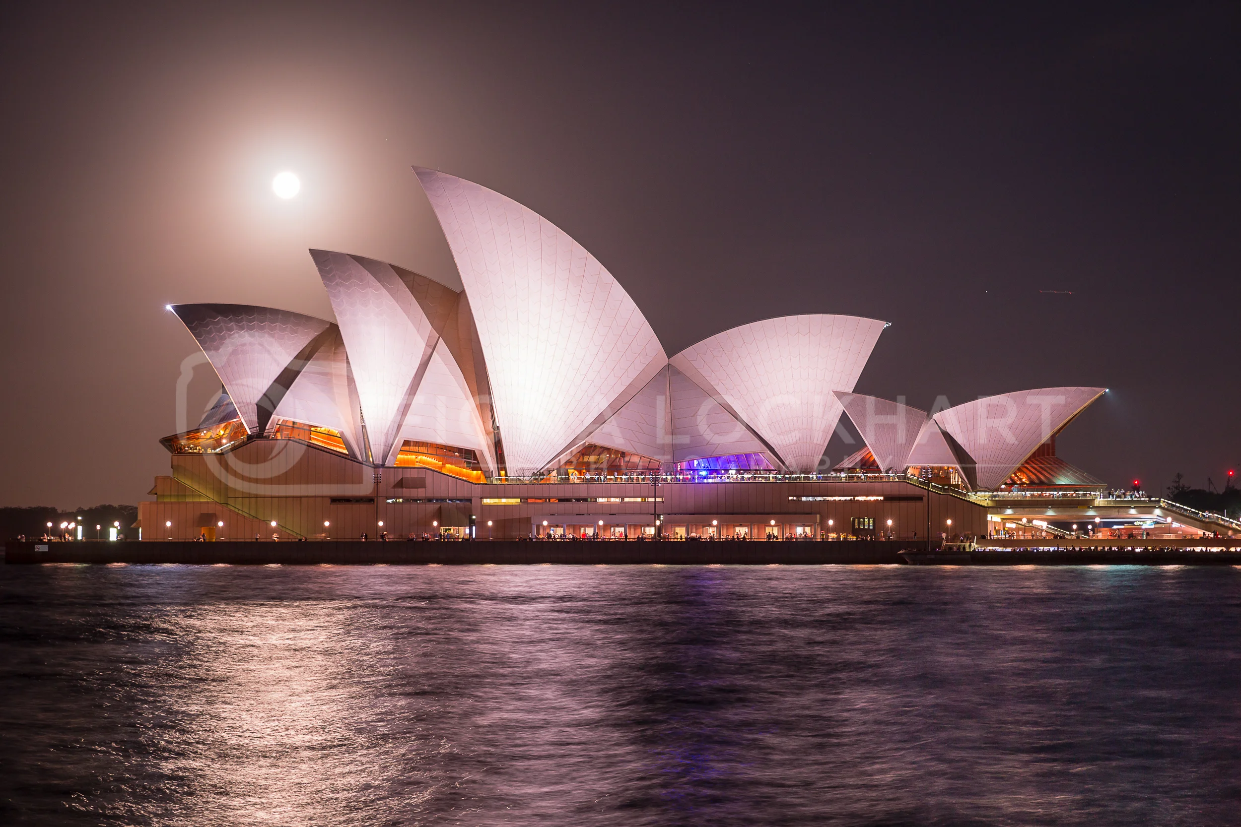 Bronte_watermark (1 of 1)-5.jpg