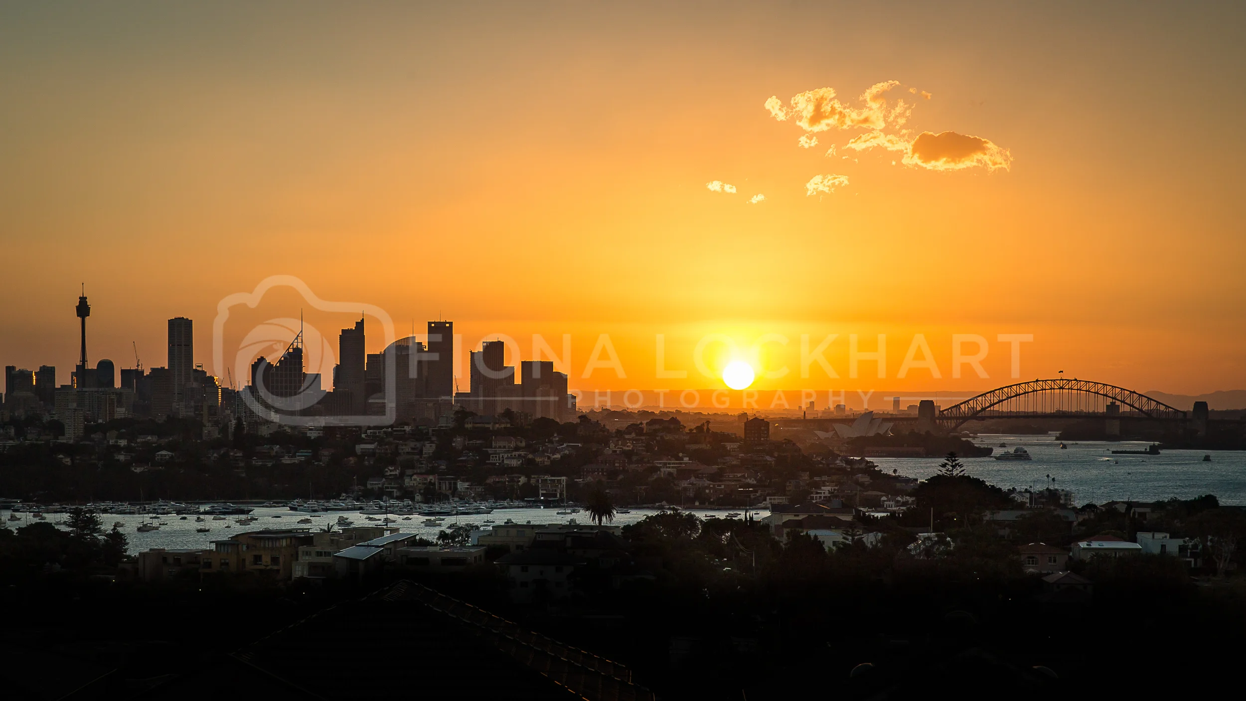 Sydney Skyline (1 of 1).jpg