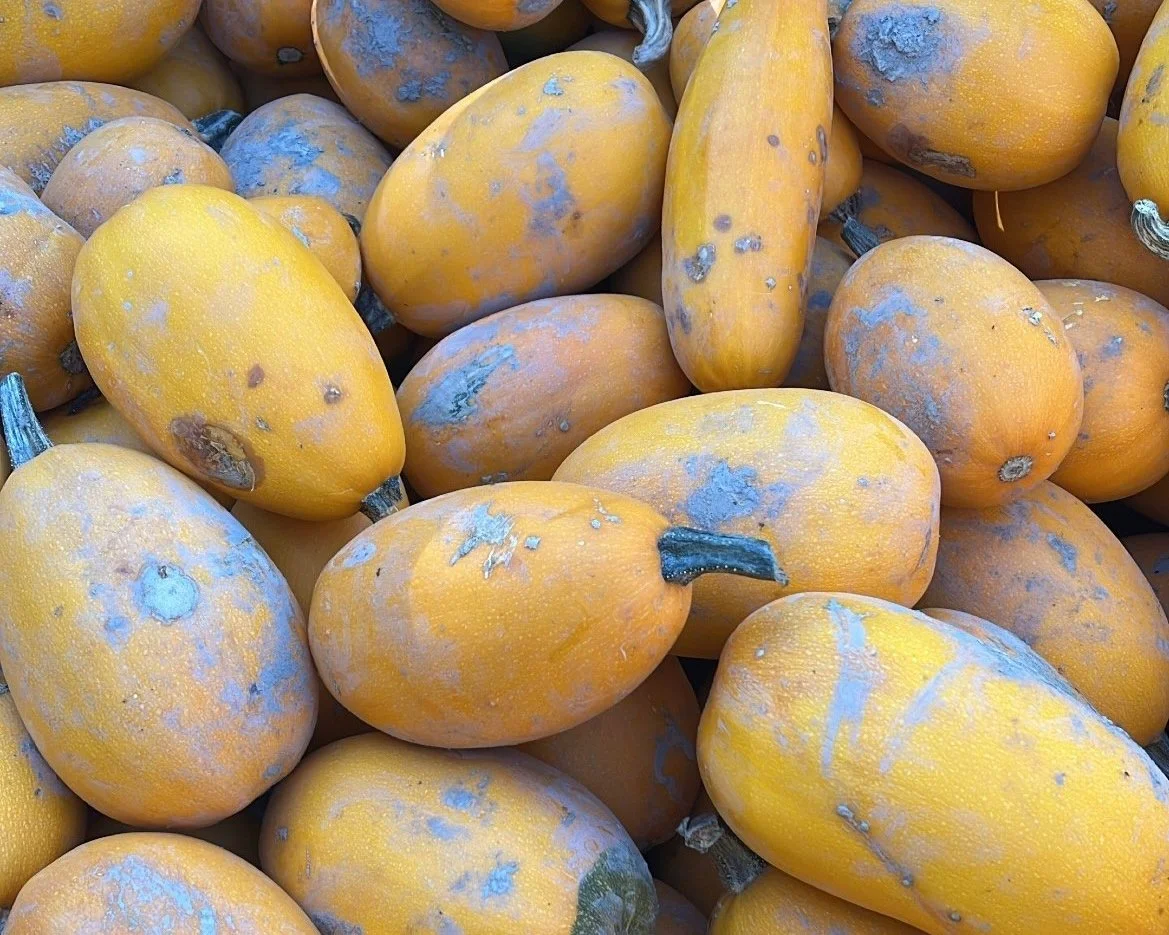 Spaghettigresskar med tomatsaus