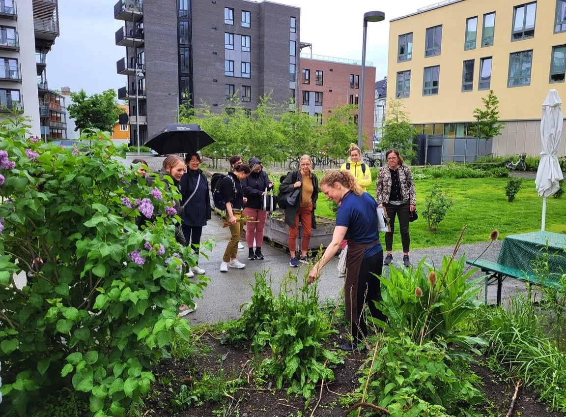 Matnyttig kursdag for mat- og helselærere 