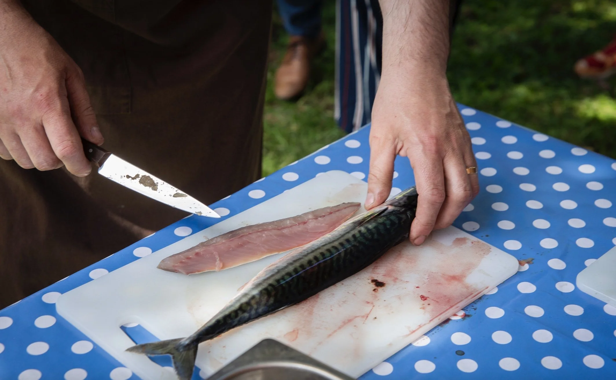 Hvordan  filetere fisk