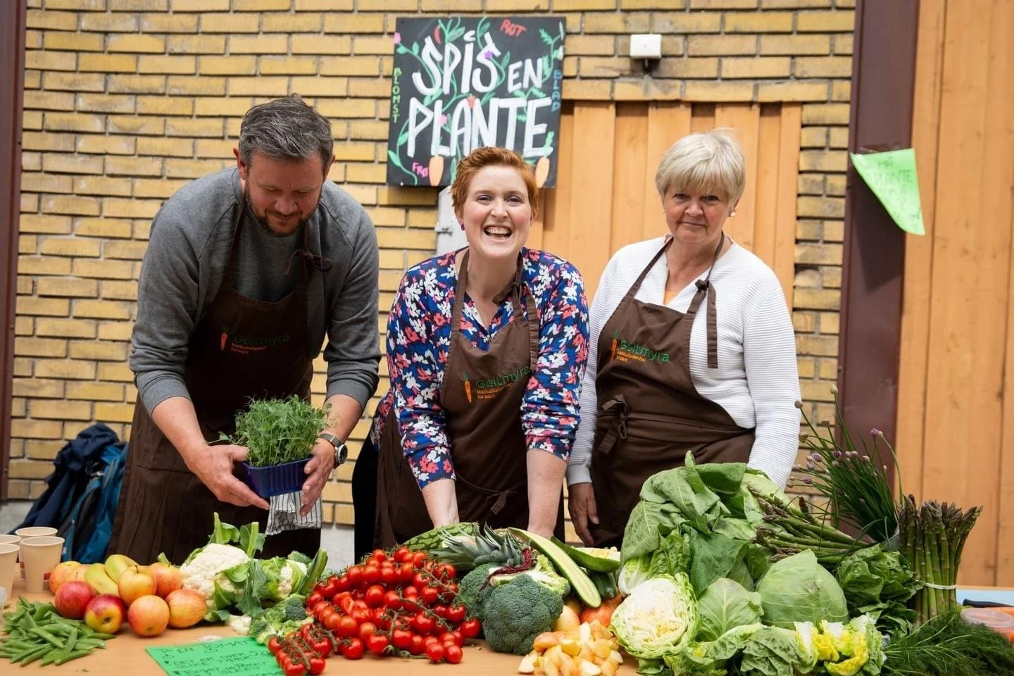 4,3 millioner til Geitmyra Tønsberg fra Sparebankstiftelsen DNB