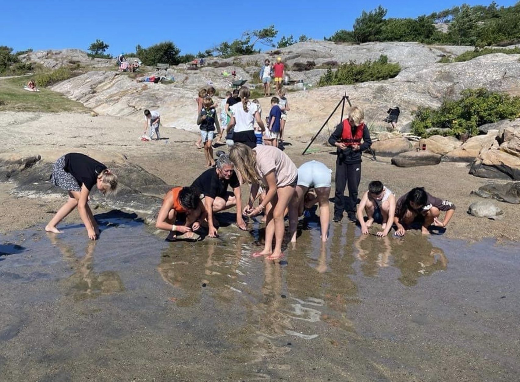 Det fantastiske havet! Sommerskoleblues på Geitmyra Kristiansand