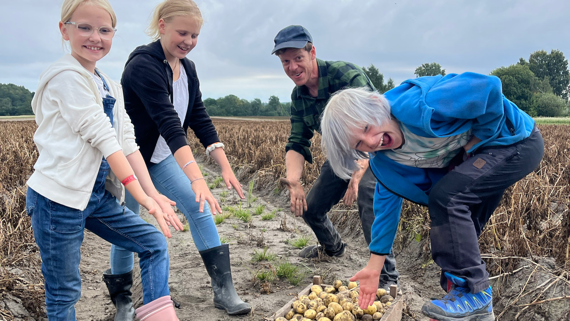 Geitmyra og Bjertnes &amp; Hoel fikser potetene til kongen 