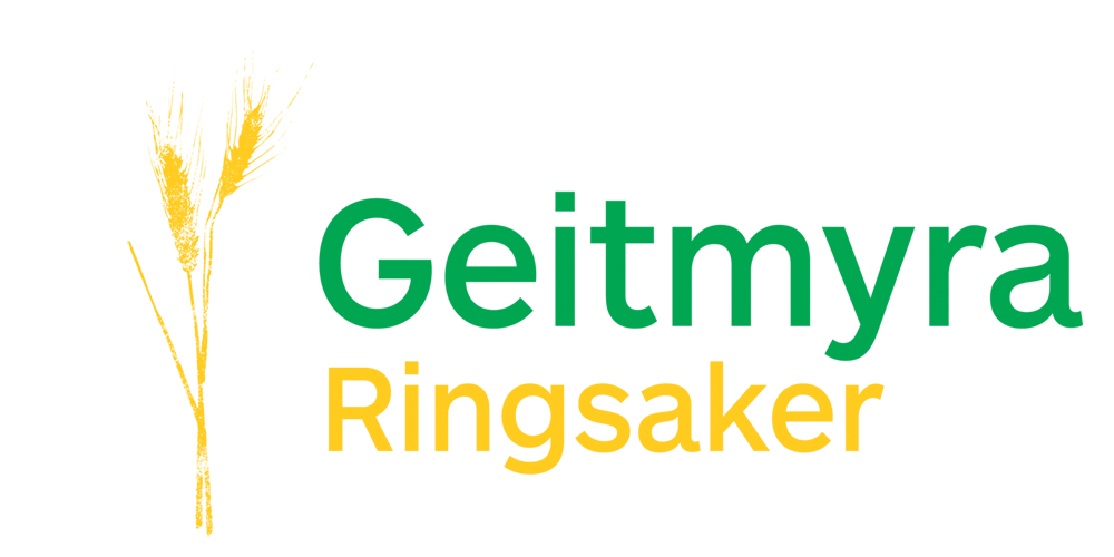 Gm-Ringsaker-logo.png