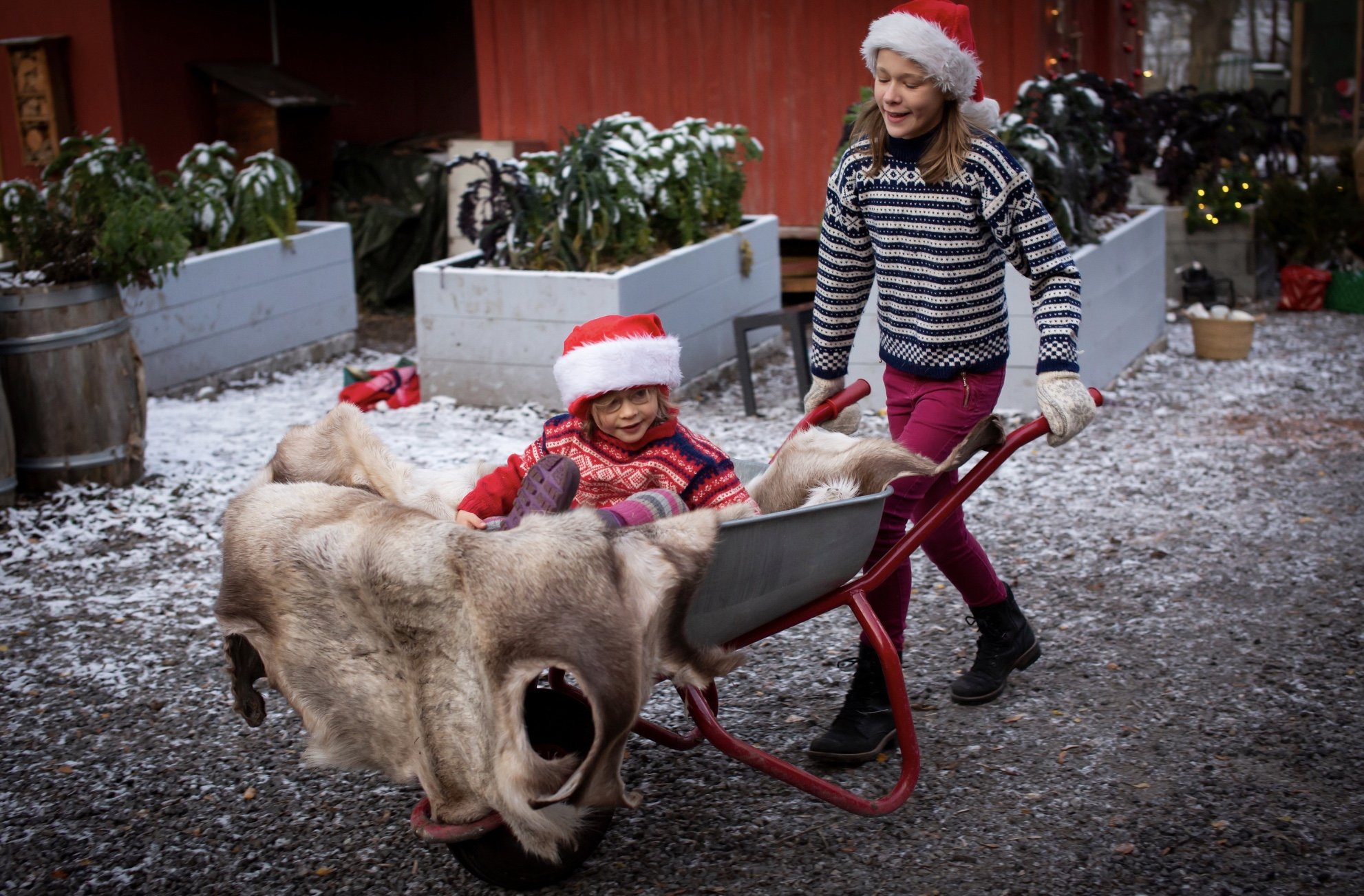 Julemagi på Geitmyra Oslo