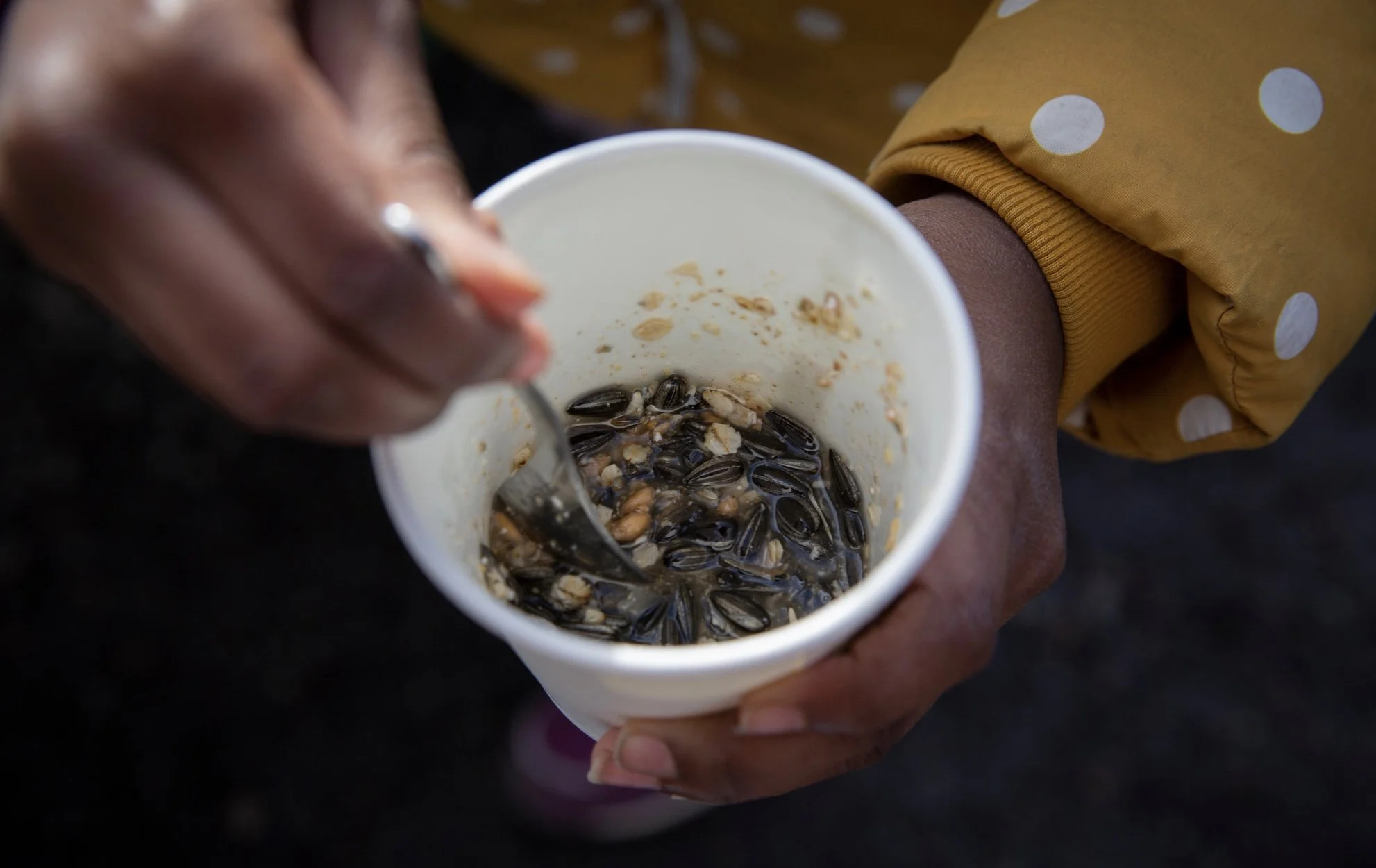 Ta vare på småfuglene i vinterkulda