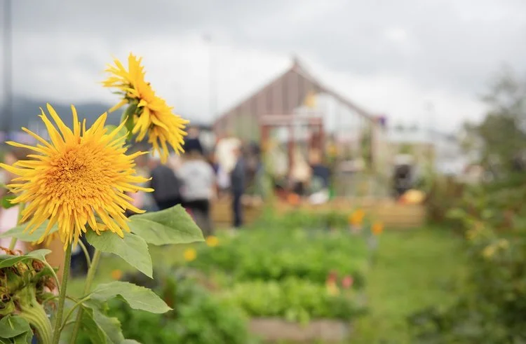 Geitmyras dyrkekurs for barnefamilier