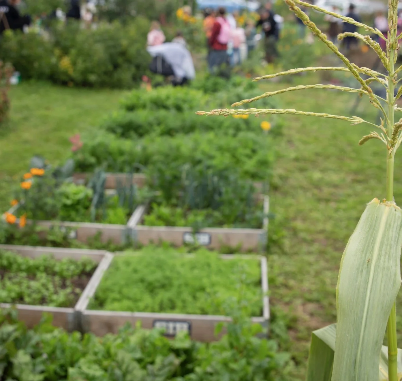 Bilde 17.06.2025 klokken 12.52.jpeg