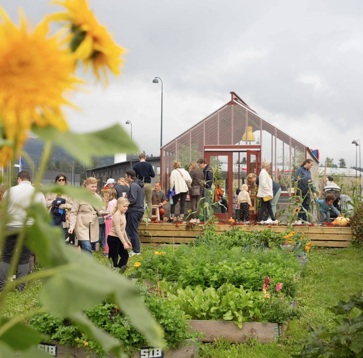 Bilde 17.06.2025 klokken 12.51.jpeg