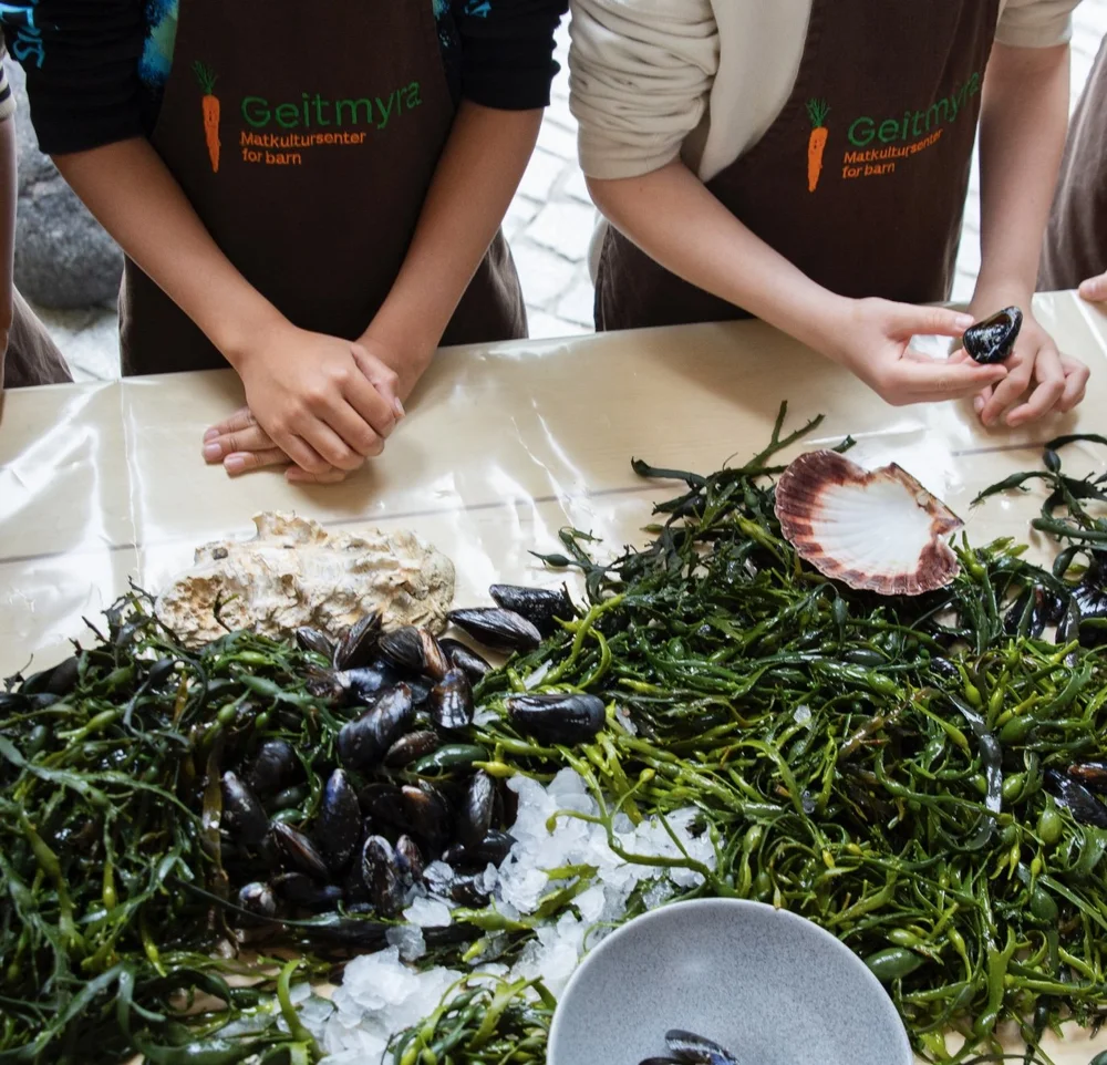 Bilde 30.06.2025 klokken 09.36.jpeg