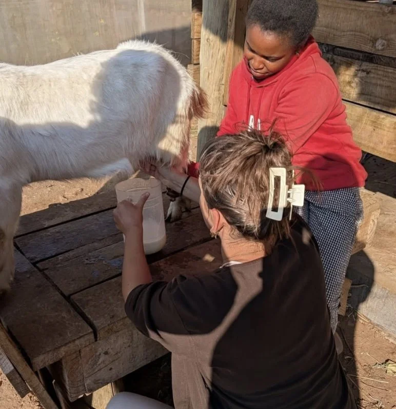 Bilde 16.09.2025 klokken 10.43.jpeg