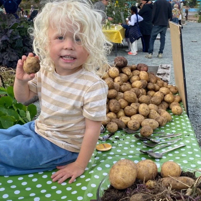 Potetfest i Kristiansand! 🥔🎶  

&ndash;&nbsp;Se p&aring; det sukkert&oslash;yet av et utekj&oslash;kken! 

Full kj&oslash;kkenhage og stormende jubel da Barnas store potetfest gikk av stabelen! Akkopagnert av Geitmyras eget husband fikk barna smake