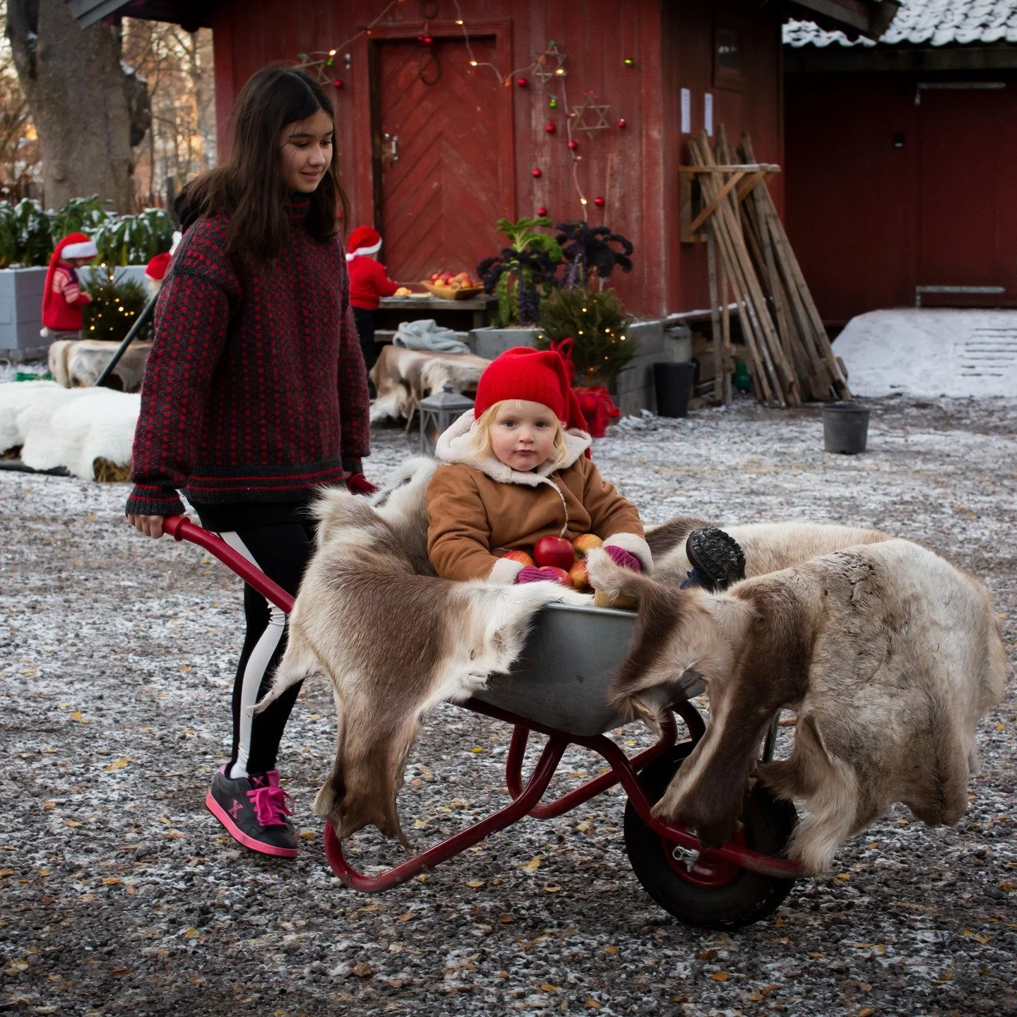 JUL P&Aring; GEITMYRA! 🎄

✨​19. november: VILLFUGL I BYEN &ndash; Geitmyra T&oslash;nsberg 

✨​22. november: BARNAS SPISELIGE JULEGAVEVERKSTED &ndash; Geitmyra Ringsaker 

✨​23. november: BARNAS SPISELIGE JULEGAVEVERKSTED &ndash; Geitmyra Oslo ​

Le