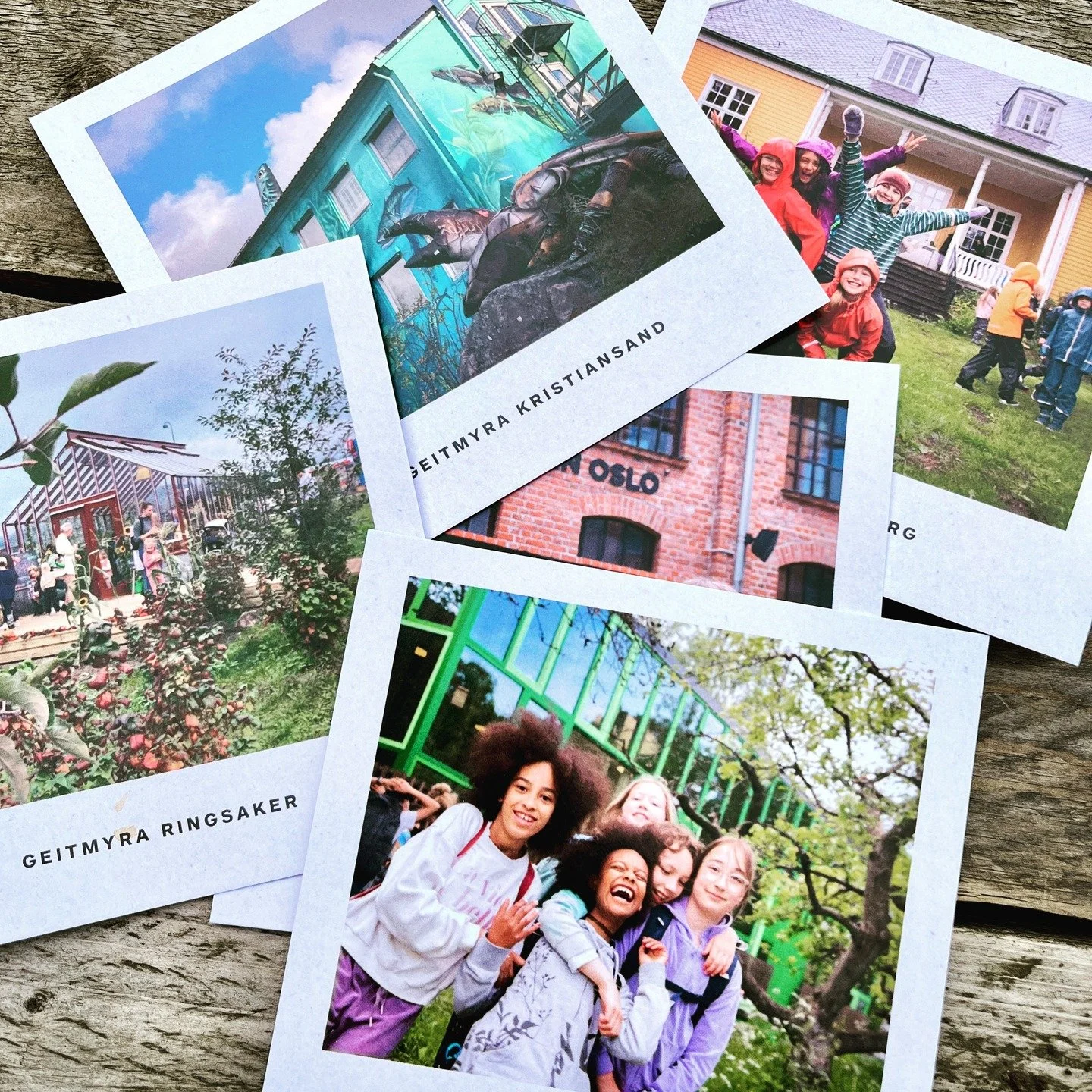 Har du v&aelig;rt og bes&oslash;kt oss p&aring; Geitmyra? Vi holder til i:

Oslo: Geitmyras aller f&oslash;rste matkultursenter for barn &aring;pnet i 2011 p&aring; Geitmyra g&aring;rd i Oslo. Med Andreas Viestad i spissen, ble jordgulv til skolekj&o