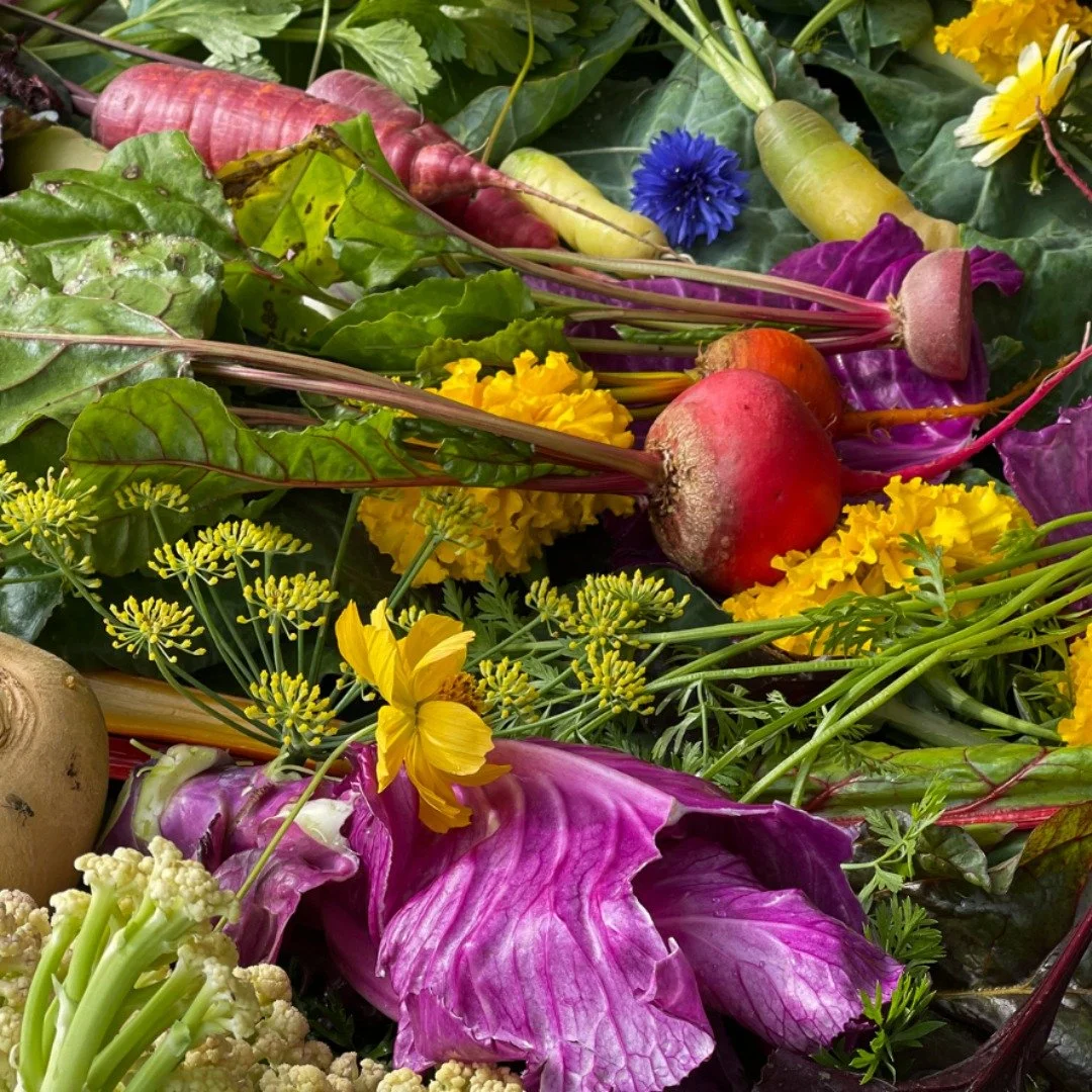 Vi s&oslash;ker ny gartner

Geitmyra er et nasjonalt kompetansesenter for matkultur. Gjennom skoleundervisning, kurs og arrangementer gir vi praktisk kunnskap og matglede til barn og ungdom. N&aring; s&oslash;ker vi en faglig sterk og engasjert gartn