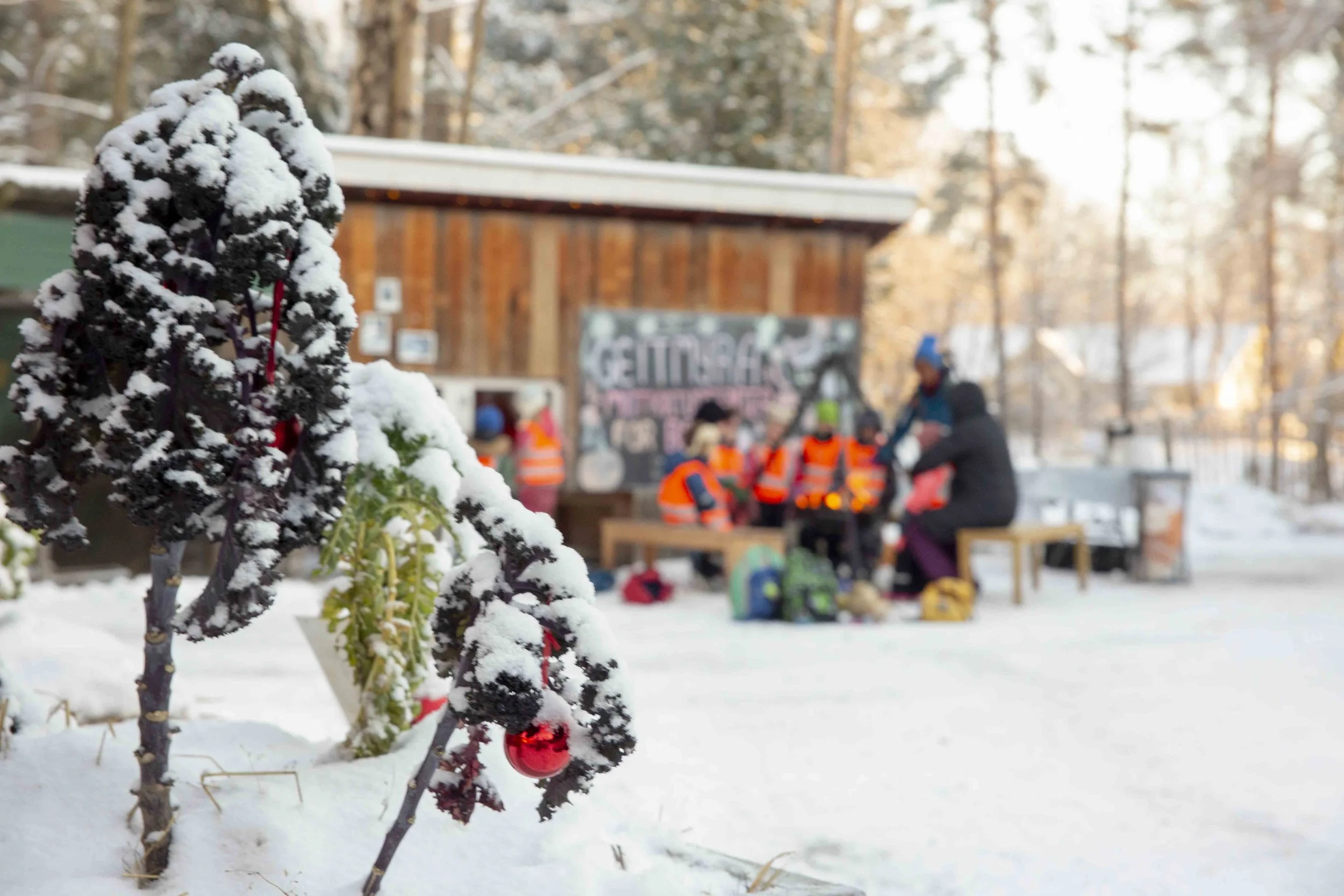 Åpent gårdstun for barnehager