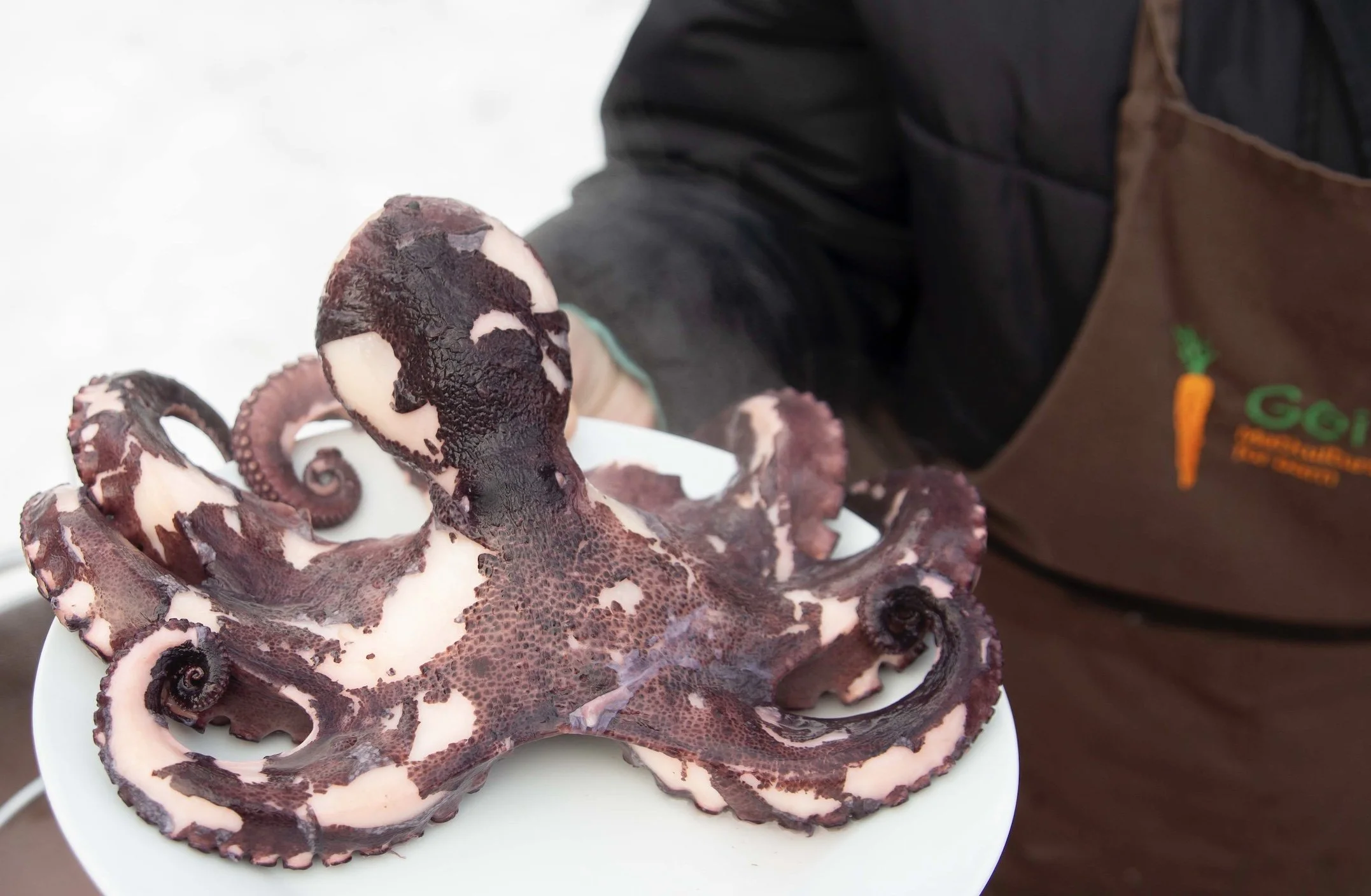 Bilde 18.02.2026 klokken 12.08 (1).jpeg