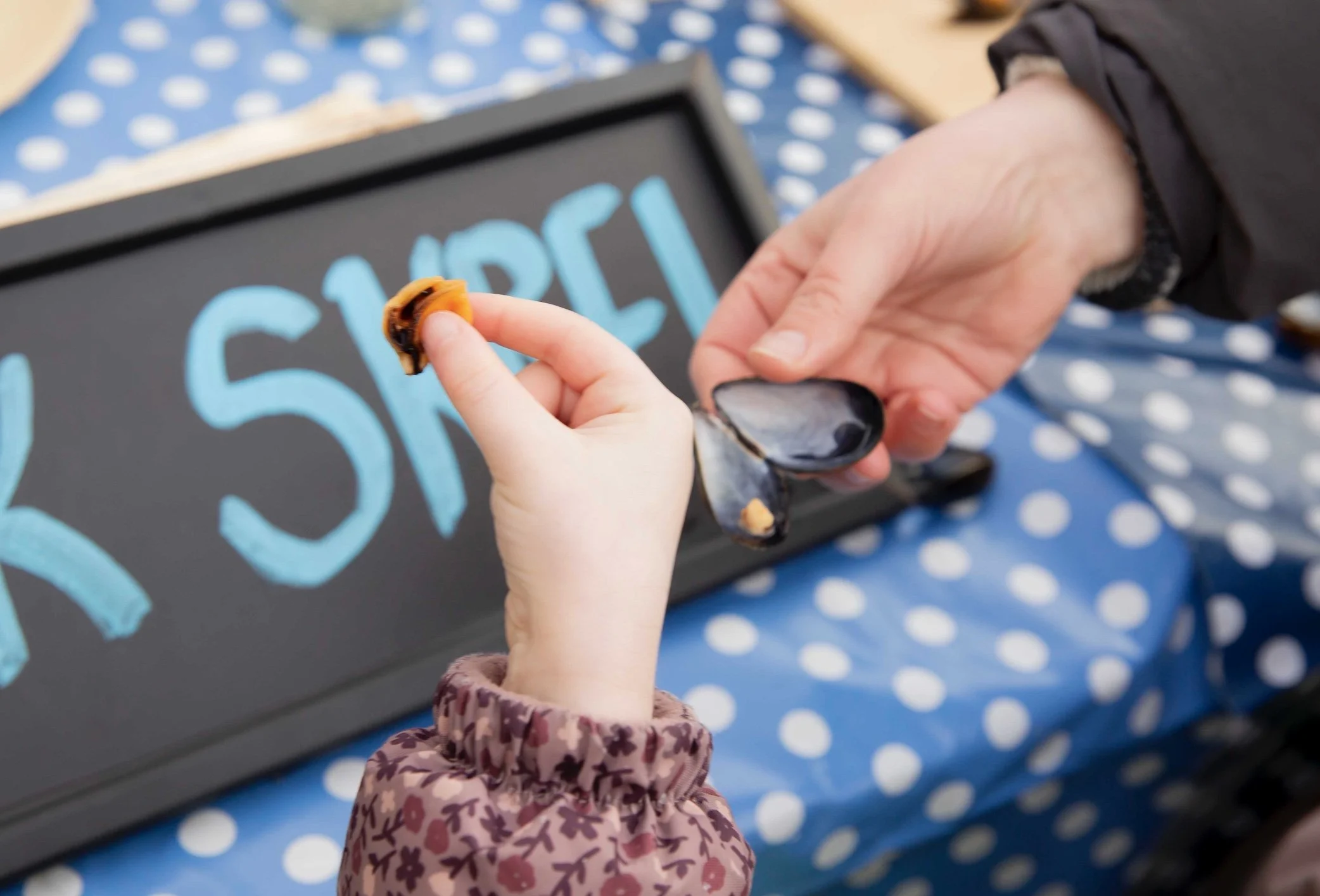 Bilde 18.02.2026 klokken 12.06.jpeg