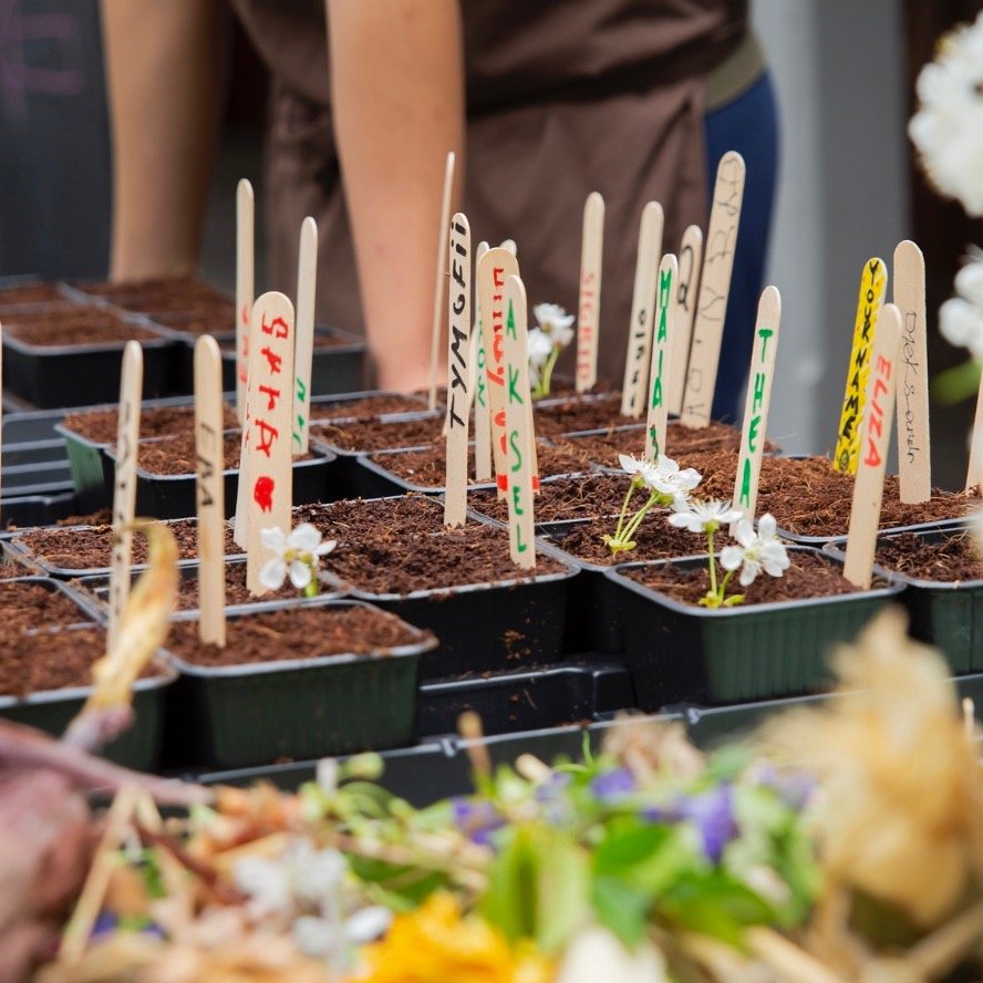 En av livets sm&aring; gleder er &oslash;yeblikket n&aring;r noe begynner &aring; spire. Om det er karse p&aring; en bomullsdott eller tomatfr&oslash; i en potte &ndash; det spiller egentlig ingen rolle.

N&aring; i mars er det p&aring; tide &aring; 
