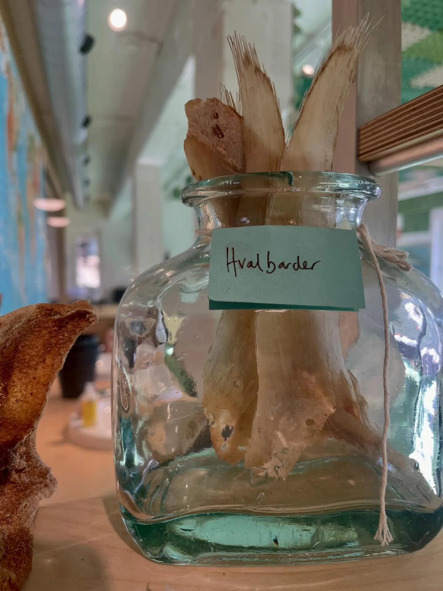 Kule ting p&aring; Geitmyra!