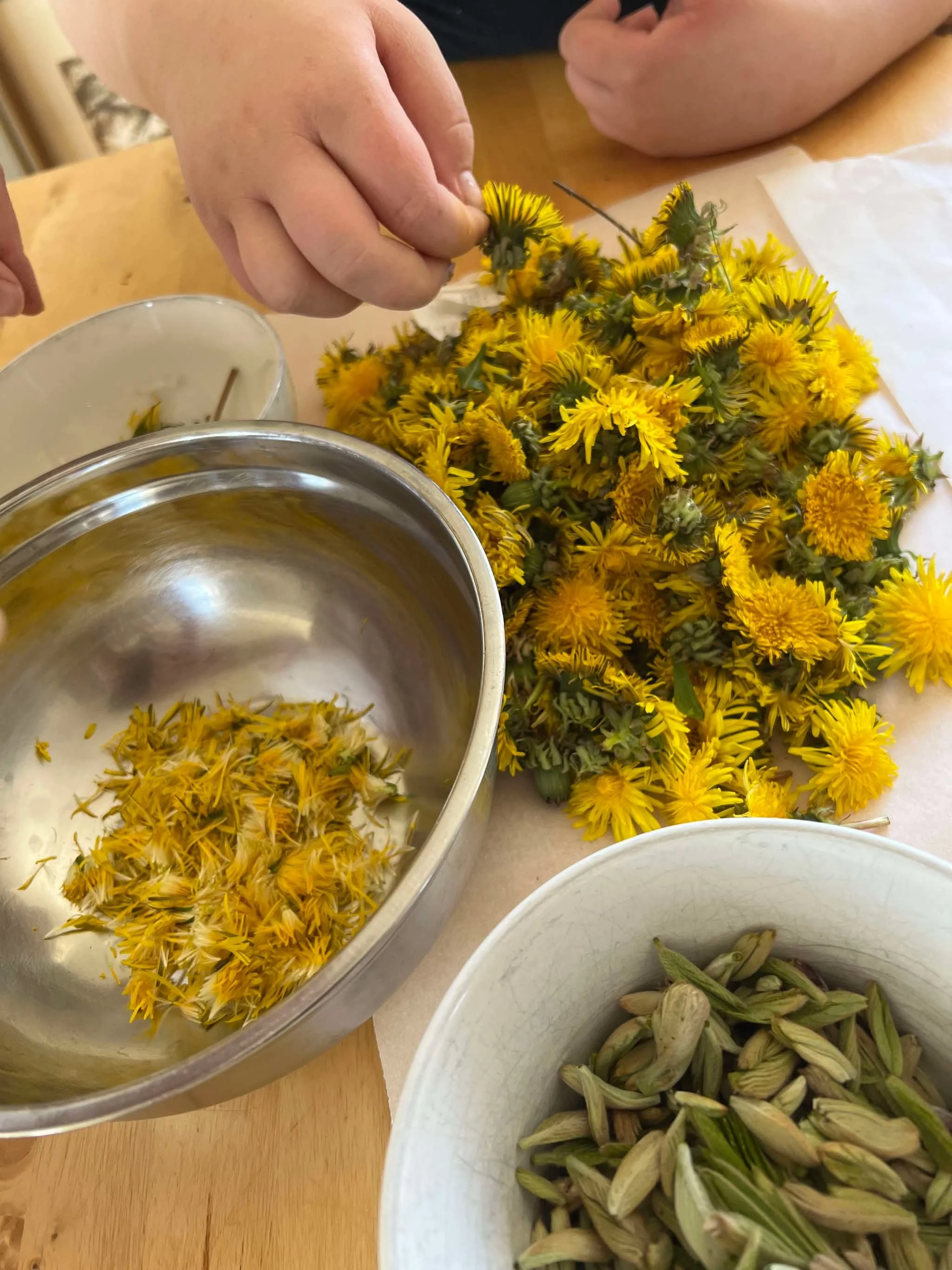 Konserveringskurs for barnefamilier  