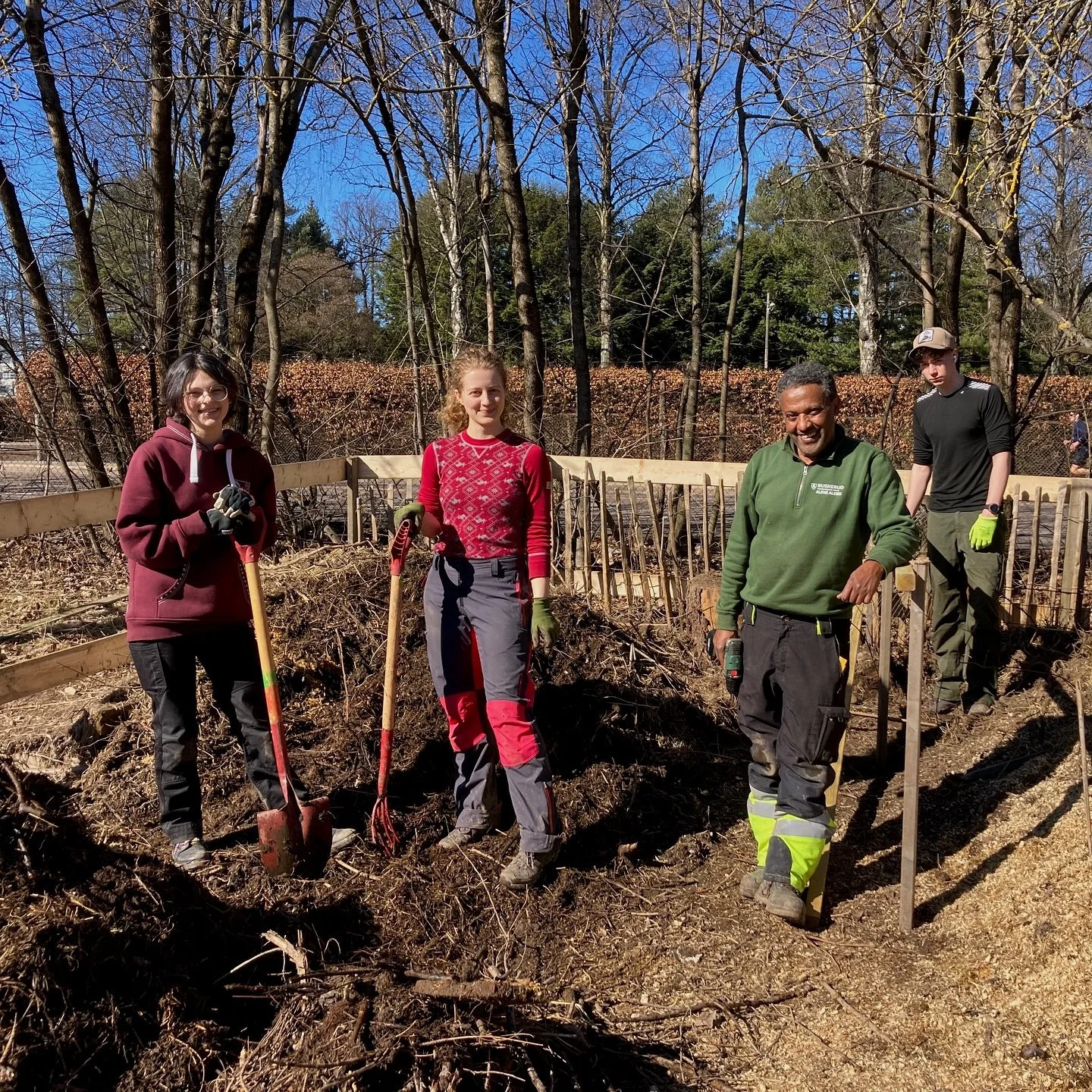 V&aring;r p&aring; Geitmyra ☀️ og dagene g&aring;r til kompostering! 🪱  V&aring;r nye gartner, Alene, er ekspert p&aring; tema og har tatt med juniorgartnerne for &aring; rydde og sortere i kompostbingen s&aring; jorda blir klar for dyrkesesongen🌱