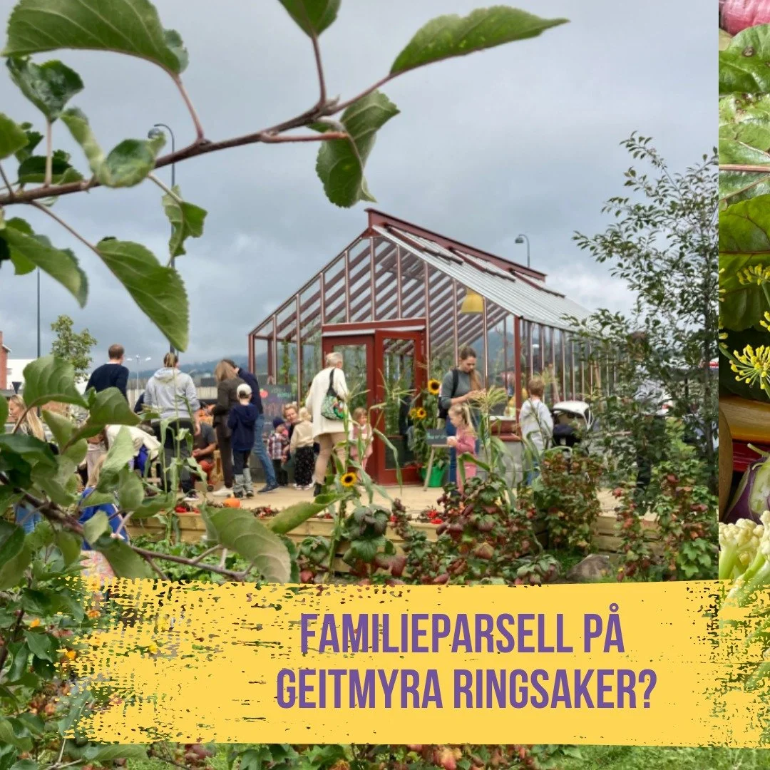 Dr&oslash;mmer dere om en egen parsellhage der hele familien kan dyrke gr&oslash;nnsaker og blomster? Bli med i Geitmyra Ringsaker parsellhagelag for barnefamilier. 
Her f&aring;r dere ikke bare et sted &aring; dyrke, men ogs&aring; en hyggelig m&osl