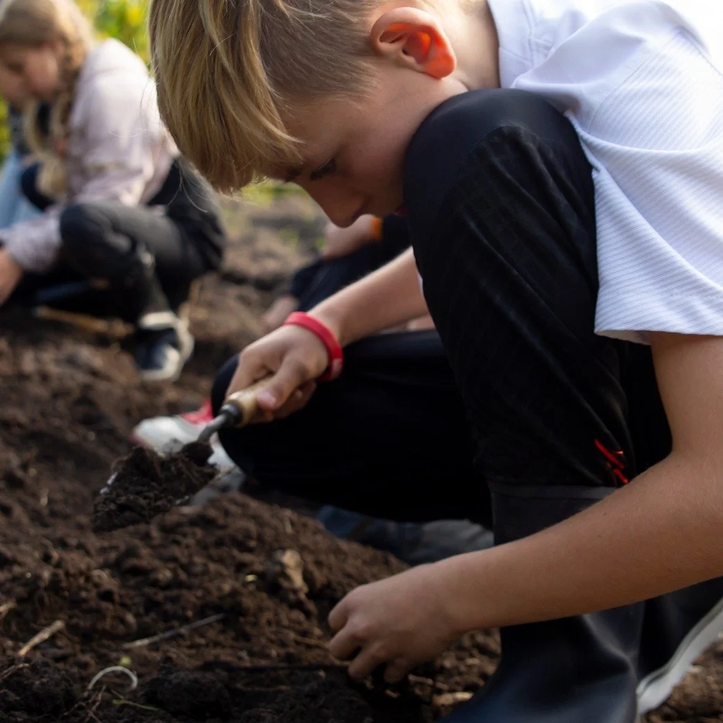 Barna som kommer til Geitmyra er veldig opptatt av meitemark og det skj&oslash;nner vi godt! 

Meitemarken er fantastisk! Den er verdensmester i &aring; lage skikkelig god jord. De bryter ned organisk materiale, lager luftkanaler som r&oslash;ttene t
