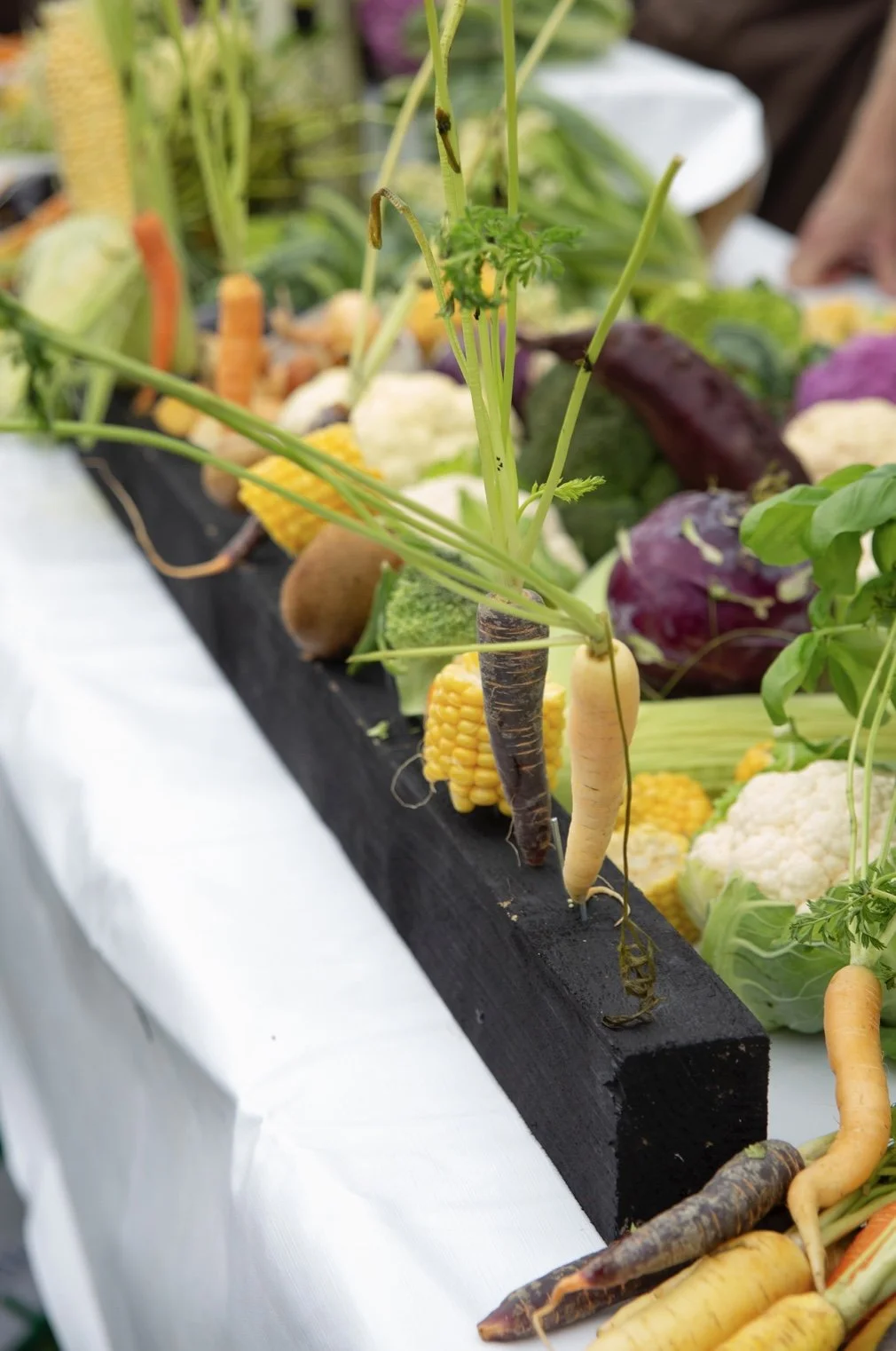 Grønnsaksbonanza på Geitmyra