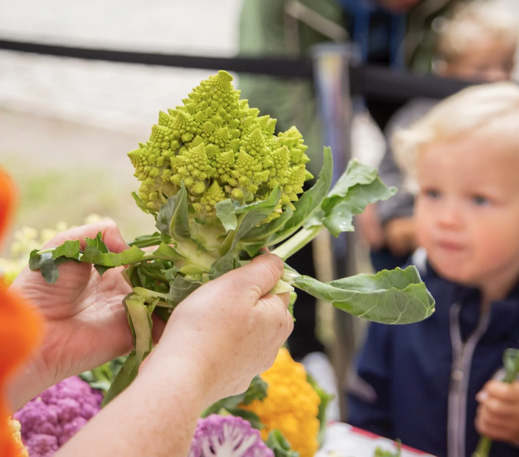 Matglede med Geitmyra på Nasjonalmuseet i sommer!