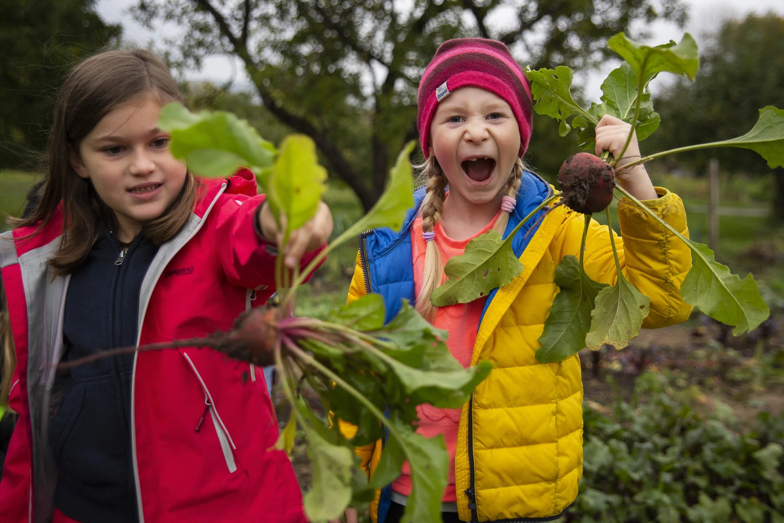 FAQ – undervisning Oslo 