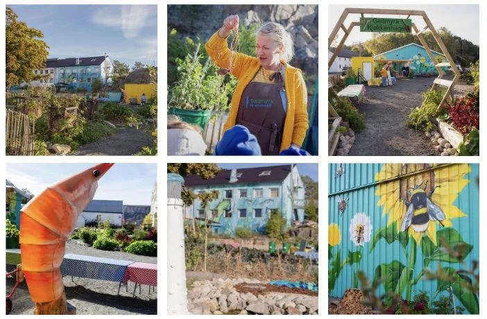 Stilling ledig: Underviser og kursholder Kristiansand