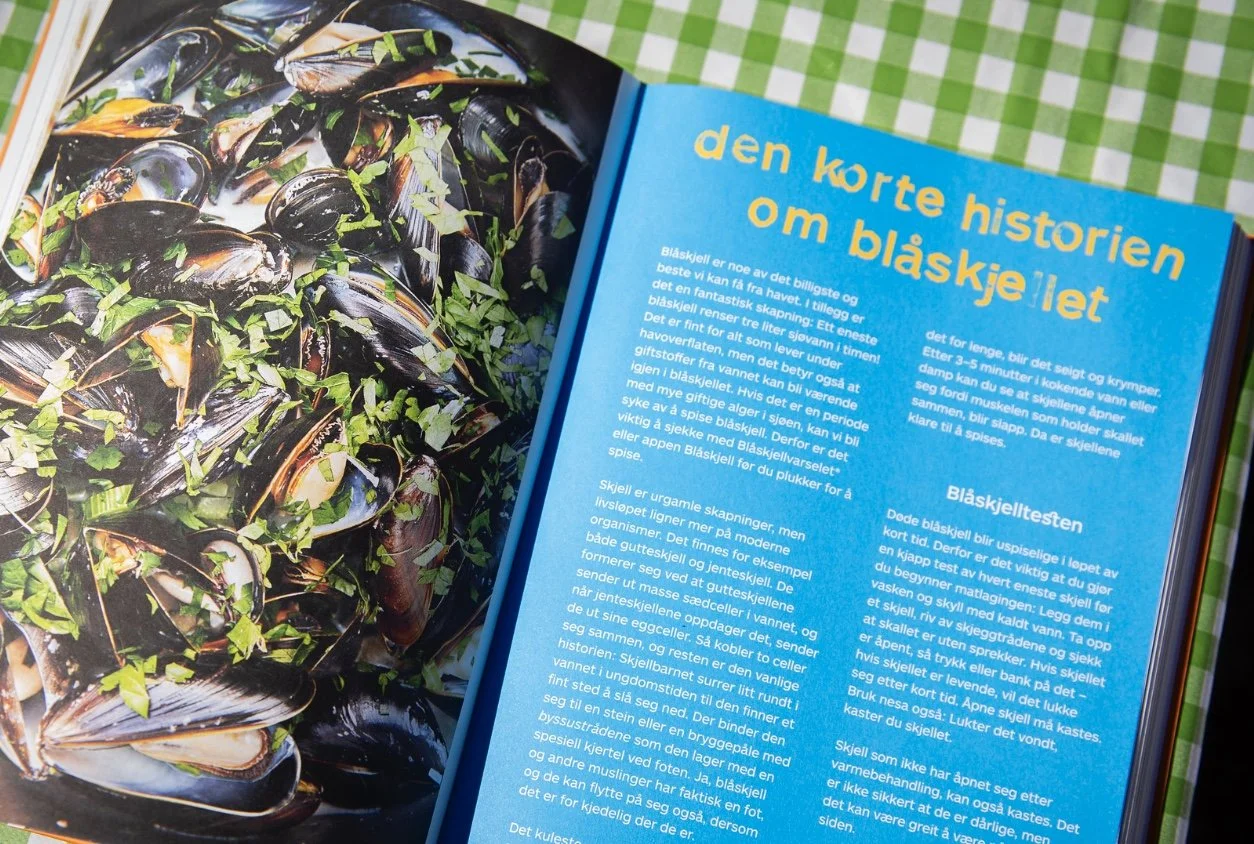 Blåskjell er havets helter 