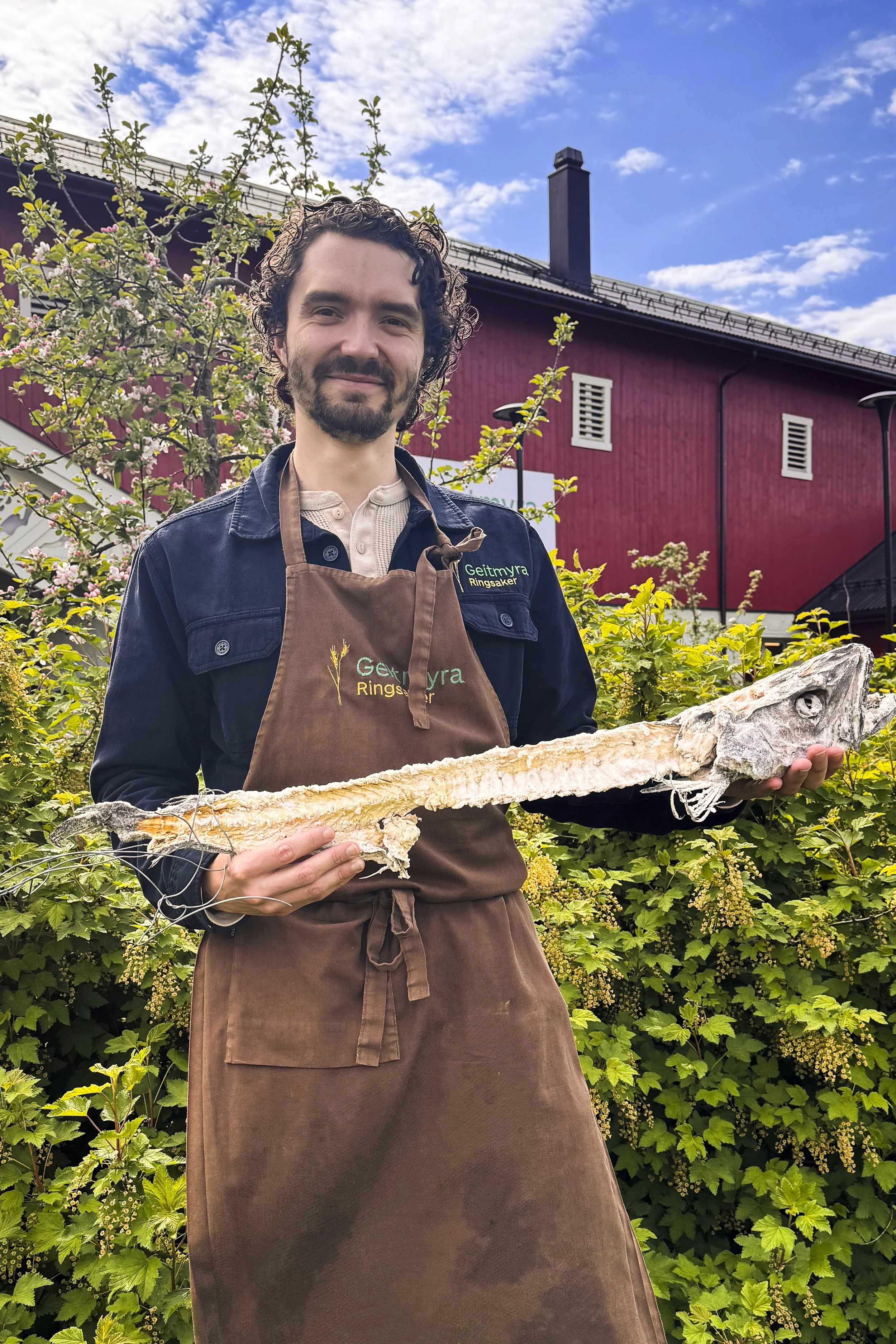 Portrett av Pål Bakken.