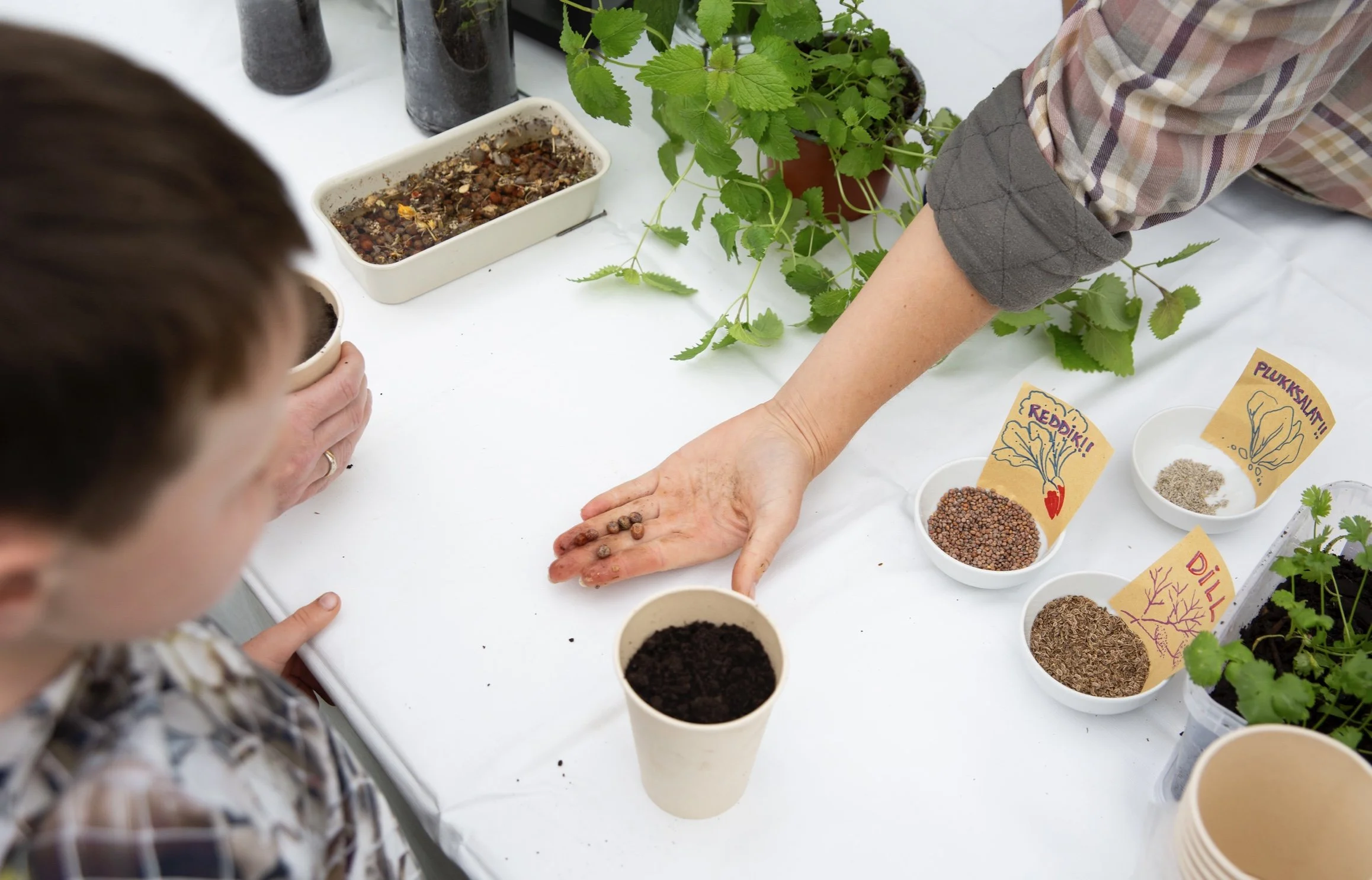 Honningis på menyen på Geitmyra